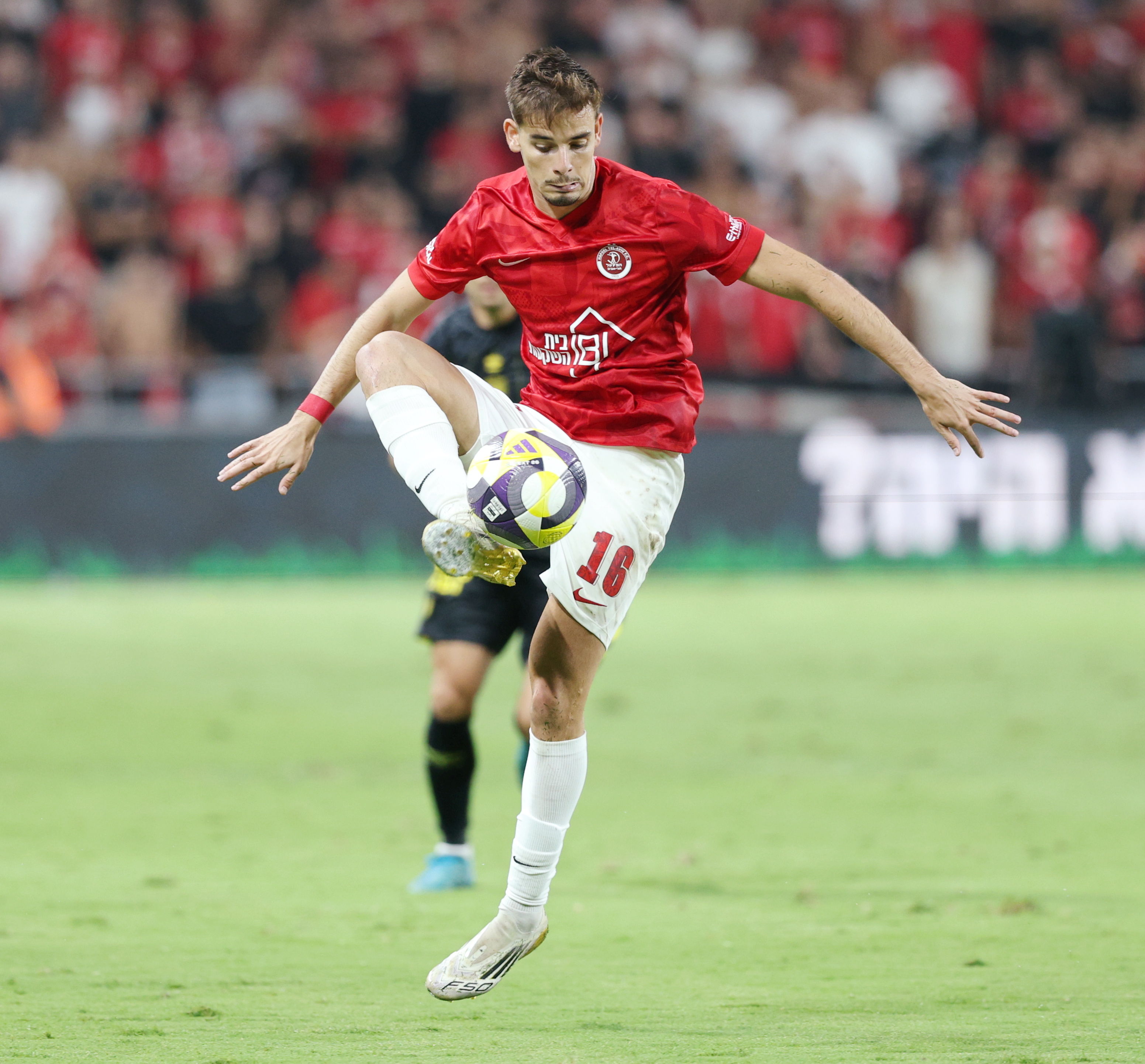 סולידריות חוצת גבולות: אוהדי באיירן מינכן תומכים באולטראס של הפועל תל אביב